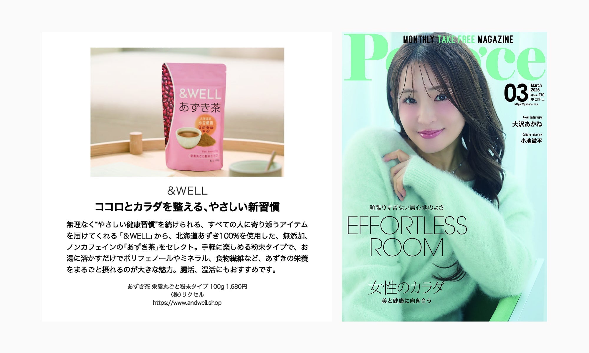 ポコチェ2026年3月号